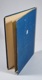 Statečný partyzán