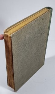 Vlčata ze ztraceného údolí