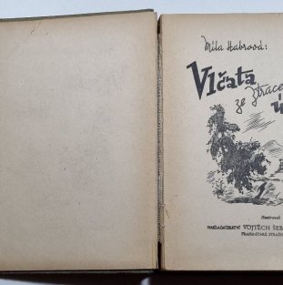 Vlčata ze ztraceného údolí