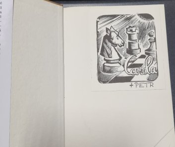 Sršeň létá v noci