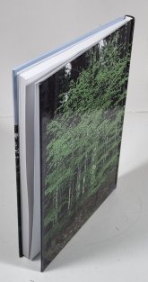 Historie pražské lesnické fakulty