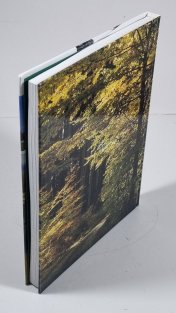 Pražská lesnická fakulta