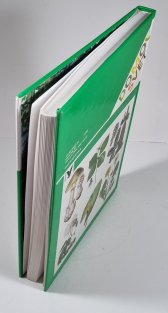 Naší přírodou krok za krokem - Rostliny