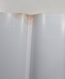 Lucifer #08: Vlk pod stromem