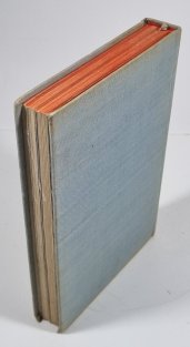 Hitler žije, chyťte ho! (slovensky)