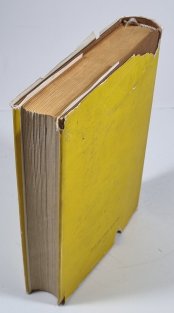 Richard Wagner - Zrození romantika