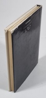 Kariéra bílé vrány