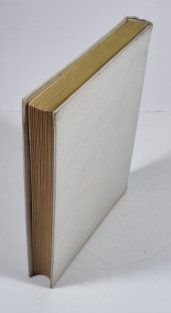 Kniha českého humoru a satiry