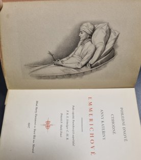 Poslední dnové ctihodné Anny Kateřiny Emmerichové