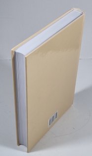 Česko, Evropa a svět očima sociálního demokrata