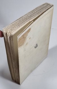 V drápech bestie - Buchenwald