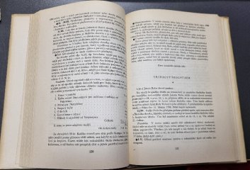 Školní deníky Jakuba Jana Ryby