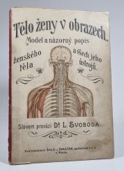 Tělo ženy v obrazech - model a názorný popis ženského těla a všch jeho ústrojí
