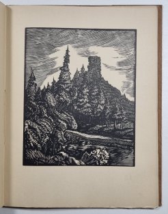 Přes kořeny neseno