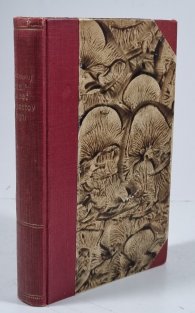 Ne mír, ale meč - Lermontov, Gogol