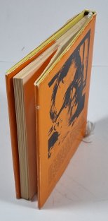 Konec nylonového věku