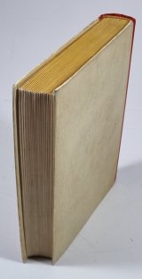 Tenká jako skořepina