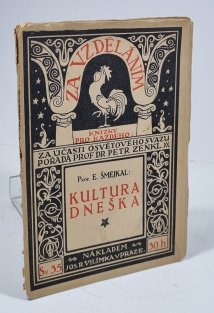 Kultura dneška