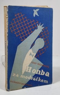 Honba za modráčkem