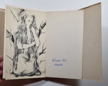 Toť starý pohádkový les