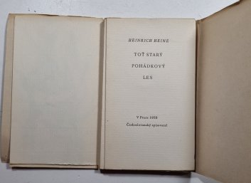 Toť starý pohádkový les