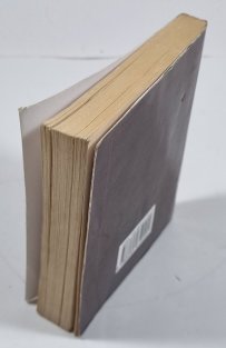 Deník spisovatelův za rok 1880–1881