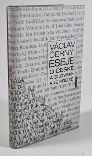 Eseje o české a slovenské próze