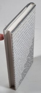 Eseje o české a slovenské próze