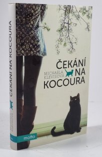 Čekání na kocoura