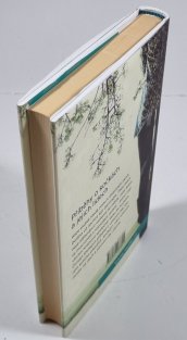 Čekání na kocoura