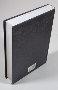 Burning Britain - historie punku ve Velké Británii 1980-1984