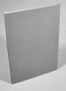 Hrad Rožnov - minulost i současnost