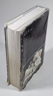 Encyklopedický přehled minerálů