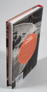 Padaná letní jablka