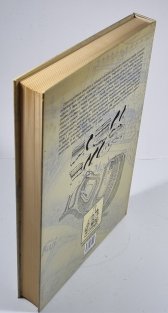 Hrady přechodného typu v Čechách