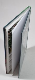 Zvířata a rostliny lesa