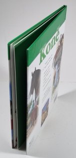 Koně