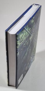 Pán prstenů - Společenstvo prstenů I.