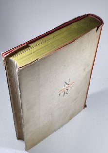 Idea Československého státu I.