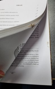 Zrození námořního obrněnce