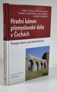 Hradní kámen přemyslovské doby v Čechách