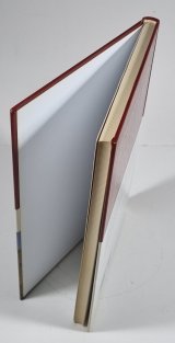 Hradní kámen přemyslovské doby v Čechách