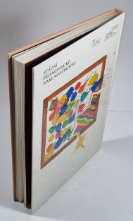 Výtvarná výchova ve 3. a 4. ročníku středních pedagogických škol 1