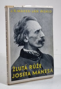 Žlutá růže Josefa Mánesa
