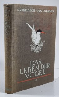 Das Leben der Vögel