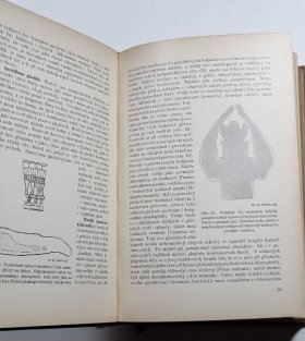 Rostlinopis II. - Nauka o buňce, anatomie rostlin