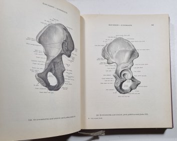 Atlas anatomie člověka I. 