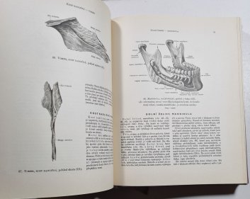 Atlas anatomie člověka I. 