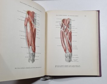 Atlas anatomie člověka I. 