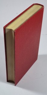 Karel IV. - Otec a syn 1333–1346